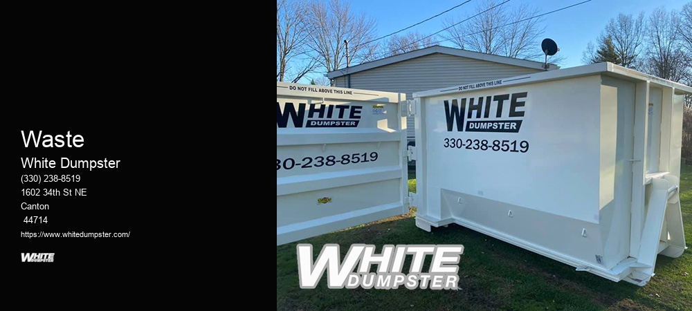 1 Day Dumpster Rental Near Me